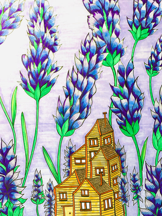 Lavender Dreams